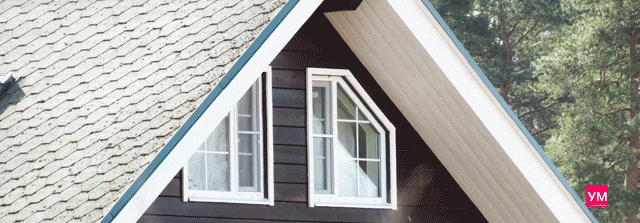 Два белых пластиковых окна в форме трапеций под сводом крыши.